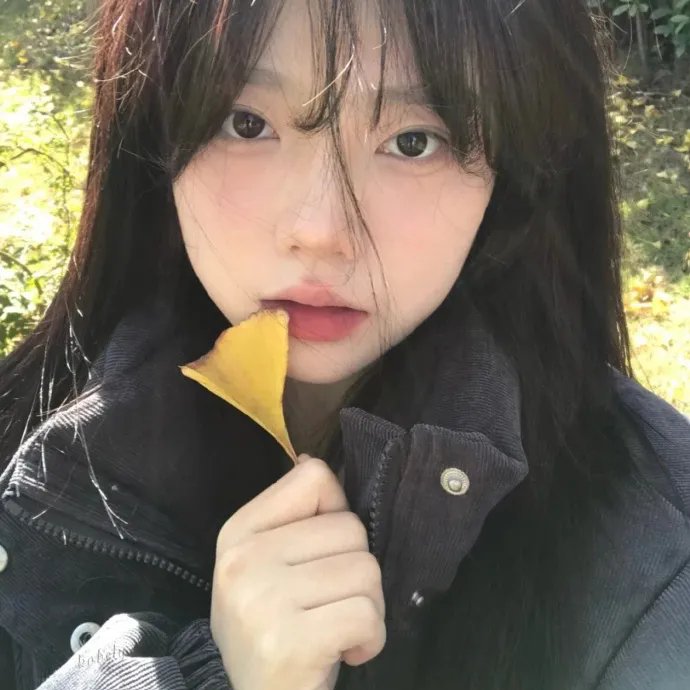 飞起来吧蝴蝶